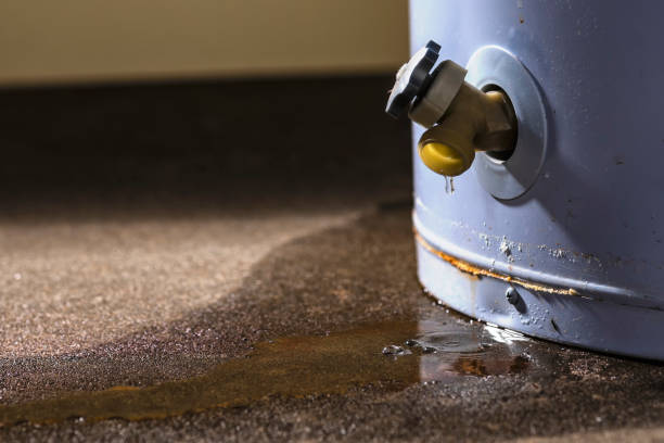 Best Commercial water damage restoration  in Colonial Heights, VA