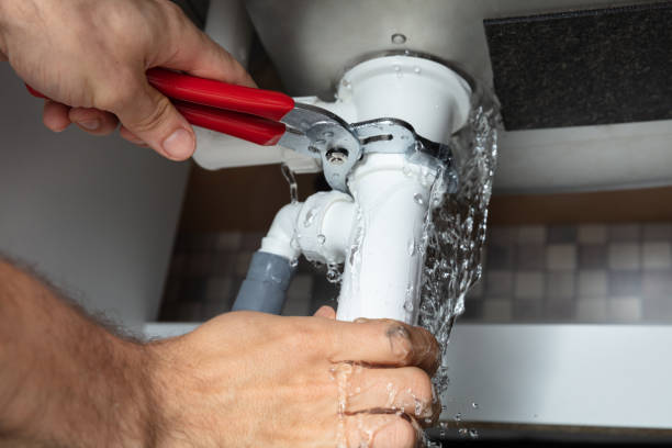 Best Water damage cleanup near me  in Colonial Heights, VA