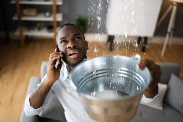 Best Flooded house restoration  in Colonial Heights, VA