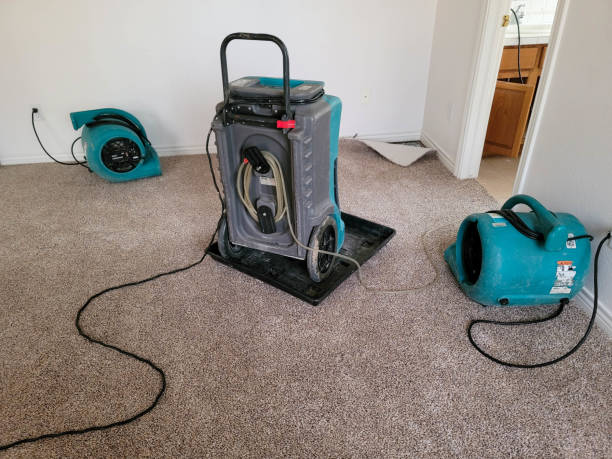Best Water damage restoration company  in Colonial Heights, VA