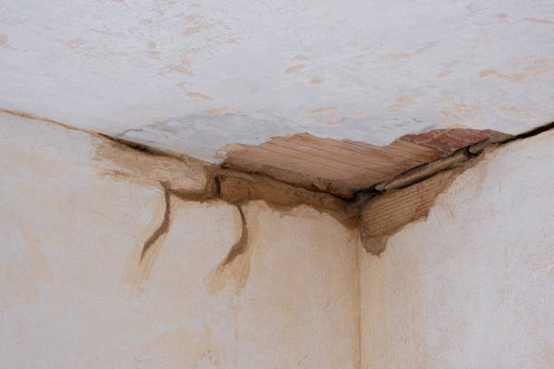 Best Local water damage restoration  in Colonial Heights, VA