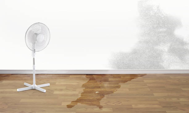Best Residential water damage restoration  in Colonial Heights, VA