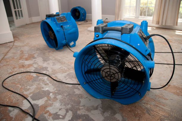 Water damage restoration insurance claims in Colonial Heights, VA