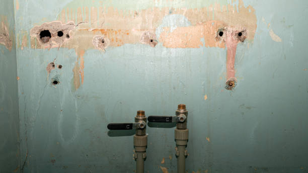 Best Flood restoration services  in Colonial Heights, VA