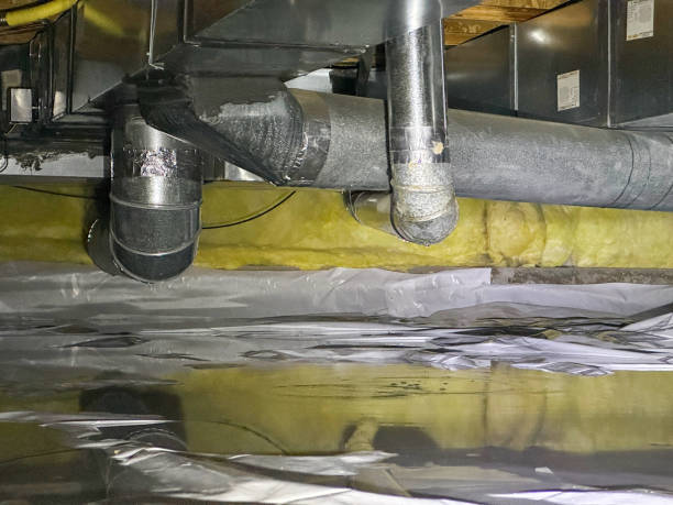 Best Flood damage cleanup  in Colonial Heights, VA