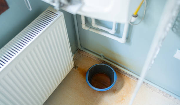 Best Emergency water extraction  in Colonial Heights, VA