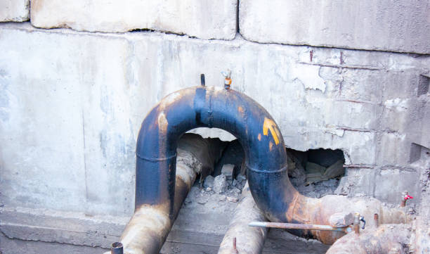 Best Water damage restoration specialists  in Colonial Heights, VA