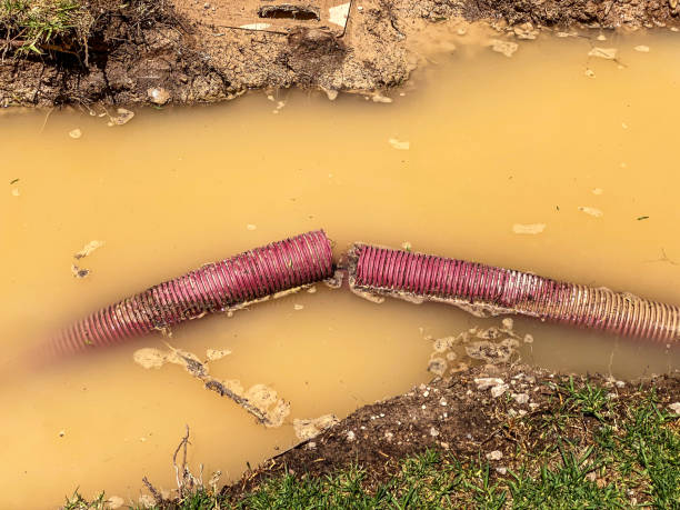 Best 24/7 water damage repair  in Colonial Heights, VA